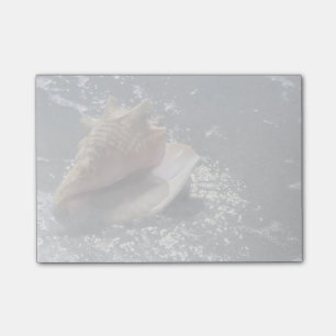 Seashell auf Insel des Strand-  Sanibel, Florida Post-it Klebezettel