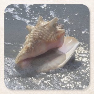 Seashell auf Insel des Strand- Sanibel, Florida Rechteckiger Pappuntersetzer