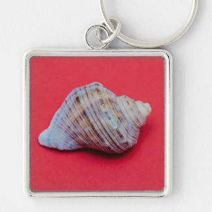 Seashell auf rotem Hintergrund Schlüsselanhänger