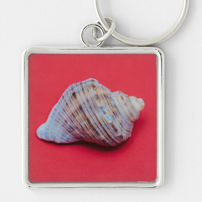 Seashell auf rotem Hintergrund Schlüsselanhänger (Vorne)