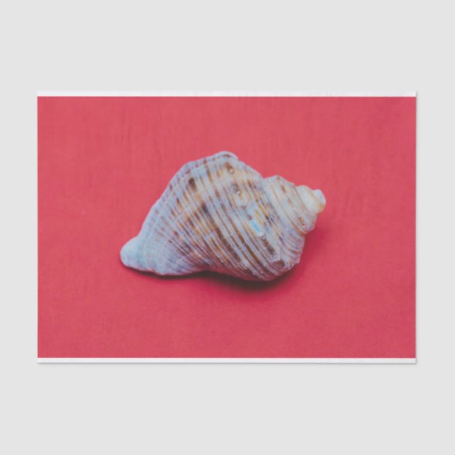Seashell auf rotem Hintergrund Seidenpapier (Vorderseite)