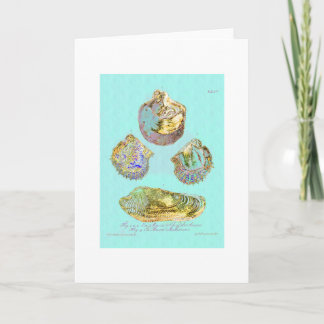 Seashell auf Rotkehlchen-Ei-Blau Karte
