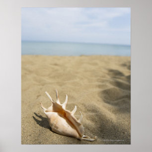 Seashell auf sandigem Strand Poster