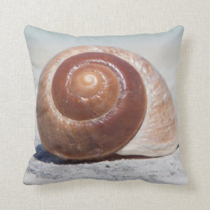 Seashell auf St. Petersburg des Strand- , Florida Kissen