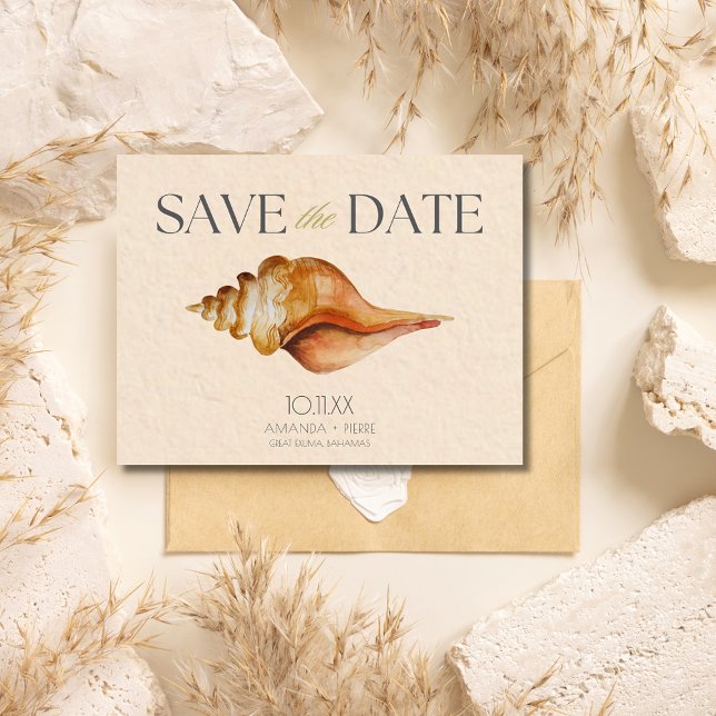 Seashell Beach Hochzeit in Urlaubsort Save the Dat Ankündigungspostkarte (Seashell Beach Destination Wedding Save the Date postcard)
