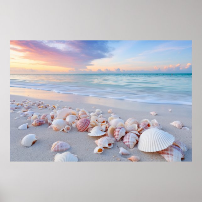 Seashell Beach Ruhe Friedliche Natur Poster (Vorne)