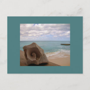 Seashell Beach Vacation Postkarte