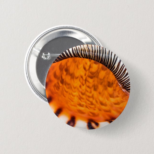 Seashell Button (Vorne & Hinten)