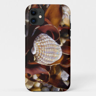 Seashell Case-Mate iPhone Hülle