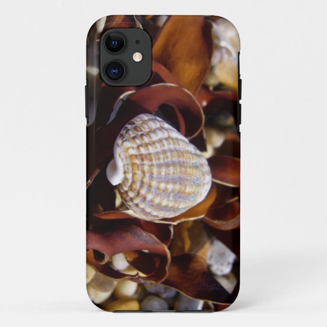 Seashell Case-Mate iPhone Hülle (Rückseite)