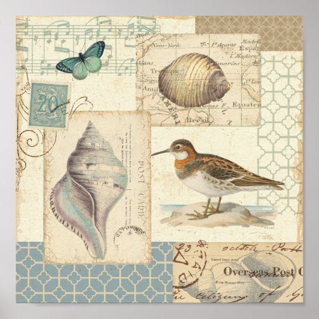Seashell Collage Poster (Vorne)