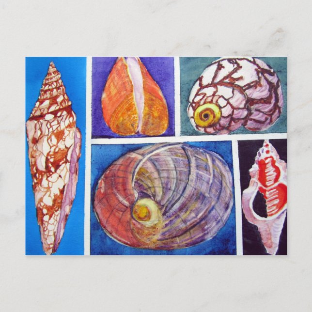 Seashell Collage Postkarte (Vorderseite)