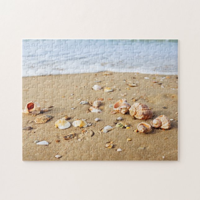 Seashell Collection Puzzle (Horizontal)