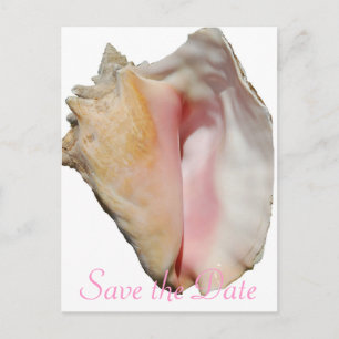 Seashell Conch Beach Wedding Ankündigungspostkarte