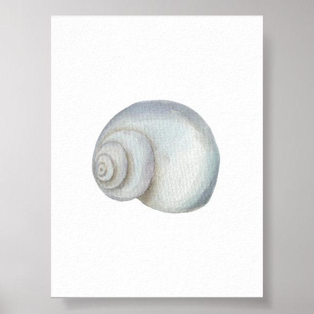 Seashell Conch Print Poster (Vorne)