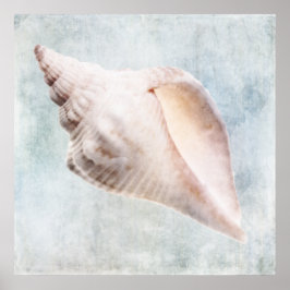 Seashell gestört Küste Blue Cream Watercolor Poster