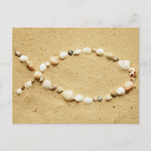 Seashell Ichthys Postkarte (Vorderseite)