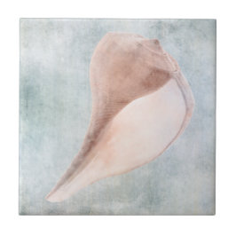 Seashell in Creme und Coastal Blue Pastel Fliese