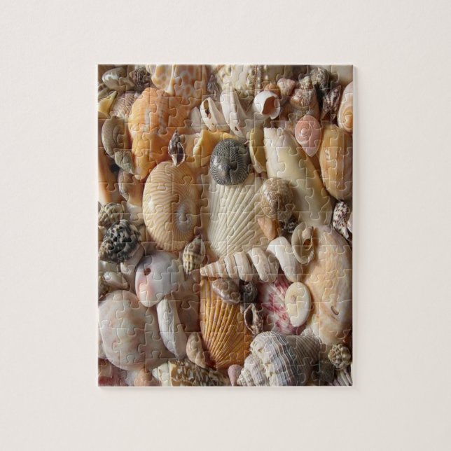 Seashell Jigsaw Puzzle (Vertikal)