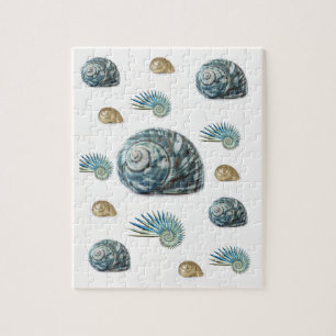 Seashell Jigsaw Puzzle