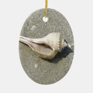 Seashell Keramikornament