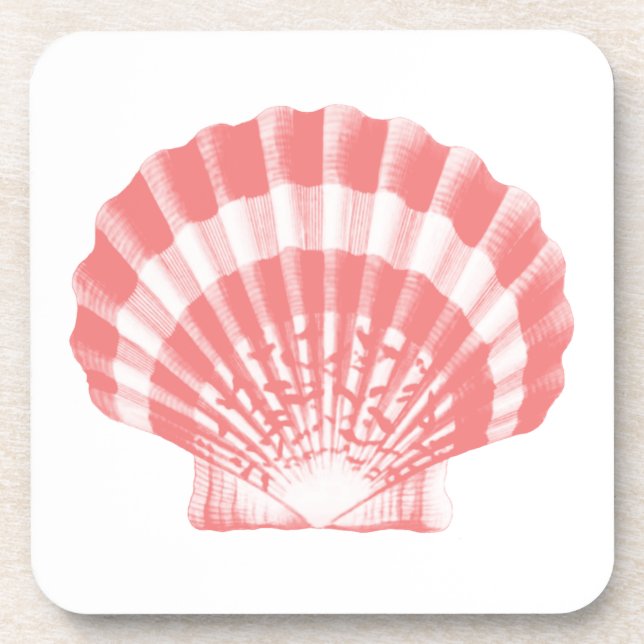 Seashell - Korallen rosa und weiß Getränkeuntersetzer (Vorderseite)