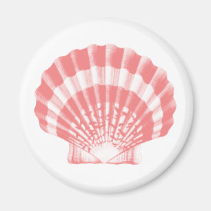 Seashell - Korallen rosa und weiß Magnet