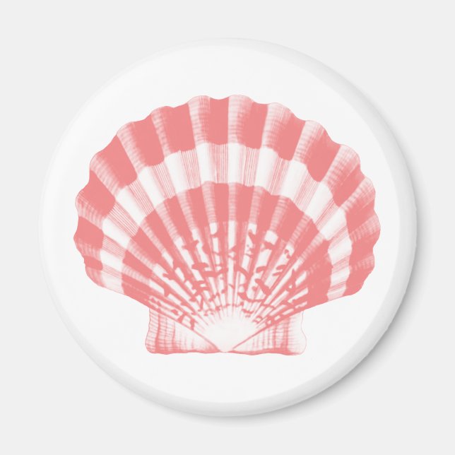 Seashell - Korallen rosa und weiß Magnet (Vorne)