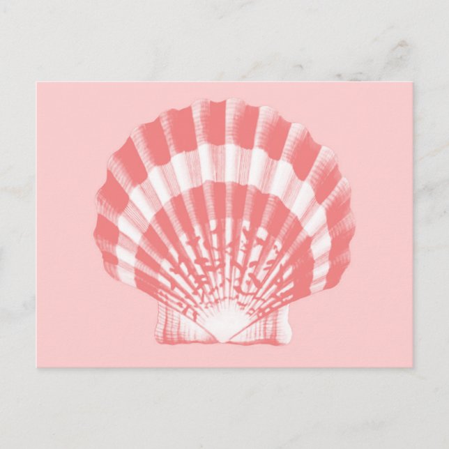 Seashell - Korallen rosa und weiß Postkarte (Vorderseite)