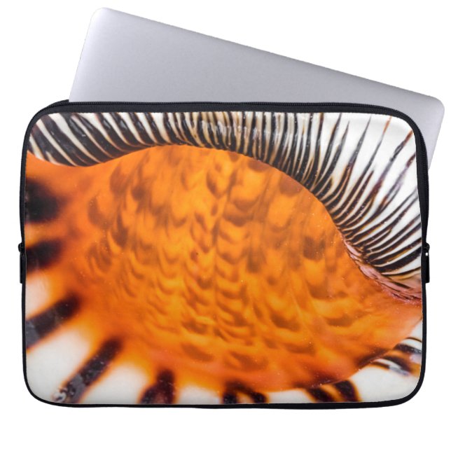 Seashell Laptopschutzhülle (Vorderseite)