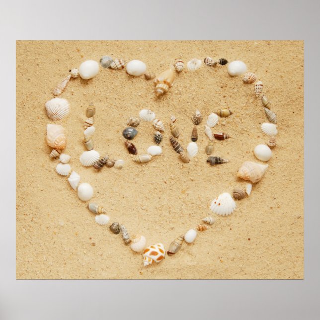 Seashell Liebe Poster (Vorne)