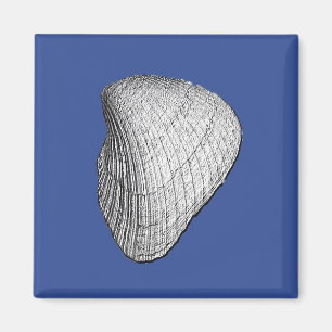 Seashell Magnet