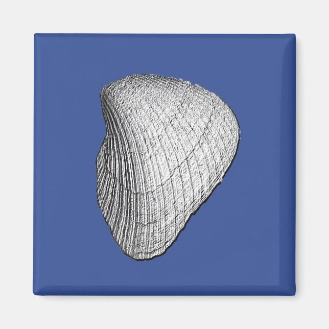 Seashell Magnet (Vorne)
