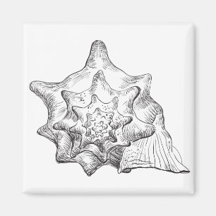 Seashell Magnet