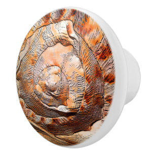 Seashell Muschel Beach House Décor Keramikknauf