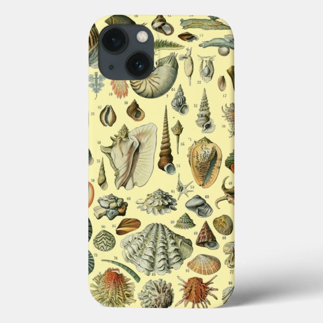 Seashell Muschel Mollusk Clam Case-Mate iPhone Hülle (Rückseite)