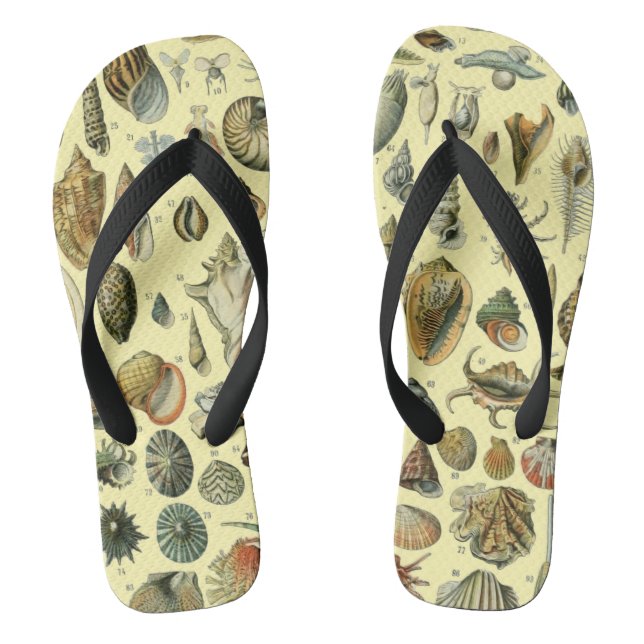 Seashell Muschel Mollusk Clam Flip Flops (Fußbett)