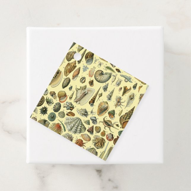 Seashell Muschel Mollusk Clam Geschenkanhänger (Beispiel)
