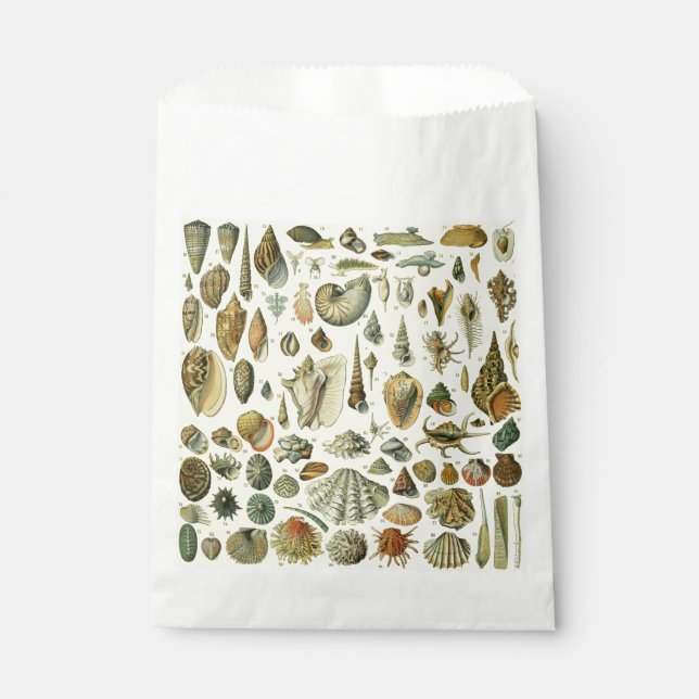 Seashell Muschel Mollusk Clam Geschenktütchen (Vorderseite)