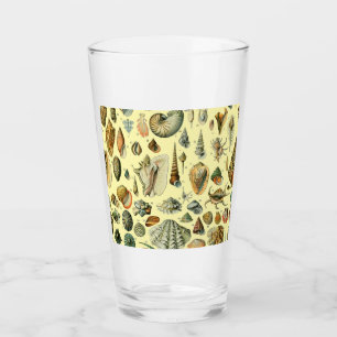 Seashell Muschel Mollusk Clam Glas
