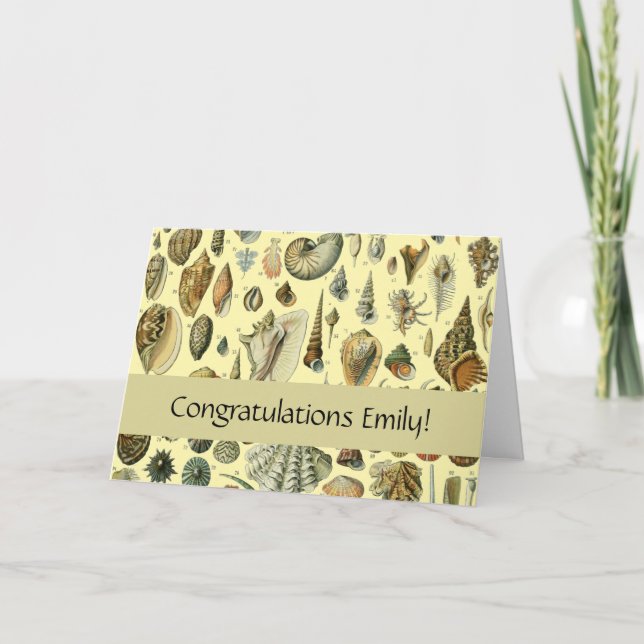 Seashell Muschel Mollusk Clam Karte (Vorderseite)