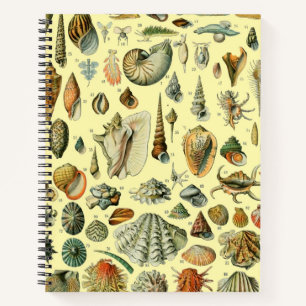 Seashell Muschel Mollusk Clam Notizbuch