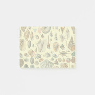 Seashell Muschel Mollusk Clam Post-it Klebezettel
