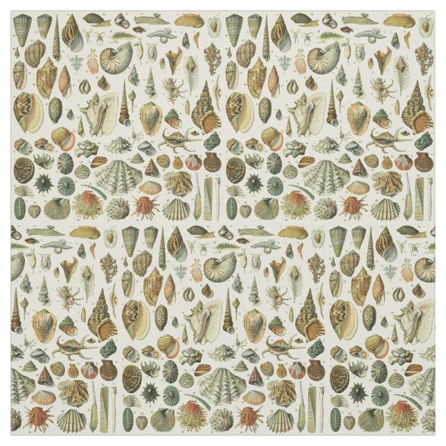 Seashell Muschel Mollusk Clam Stoff (Muster)