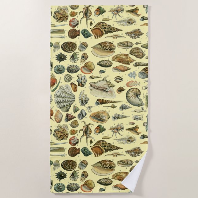 Seashell Muschel Mollusk Clam Strandtuch (Vorderseite)