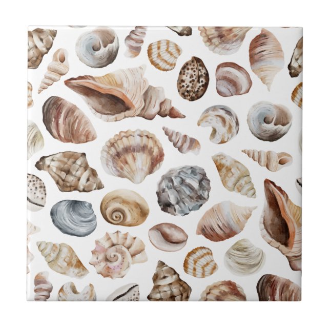 Seashell-Muster Fliese (Vorderseite)