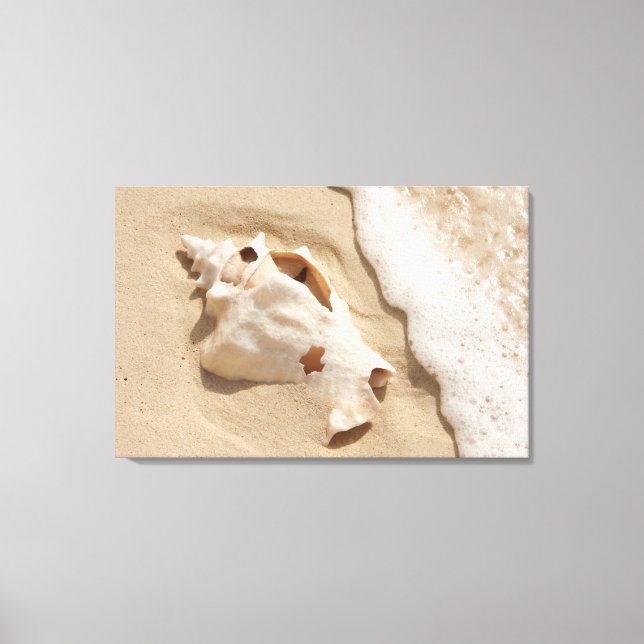 Seashell on Beach | Grand Turm Karibik Island Leinwanddruck (Vorderseite)