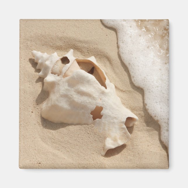 Seashell on Beach | Grand Turm Karibik Island Magnet (Vorne)