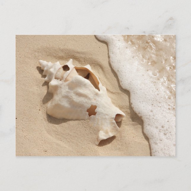 Seashell on Beach | Grand Turm Karibik Island Postkarte (Vorderseite)
