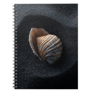 Seashell on Dark Sand Notebook Notizblock